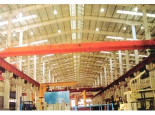 無錫起重機(jī)安裝 LB型防爆電動(dòng)單梁起重機(jī)